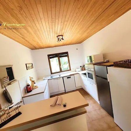 A Pied Familiale 10 Pers Corse Sud Porto Vecchio *