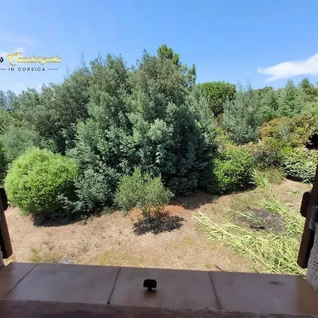 A Pied Familiale 10 Pers Corse Sud Porto Vecchio Vardiola