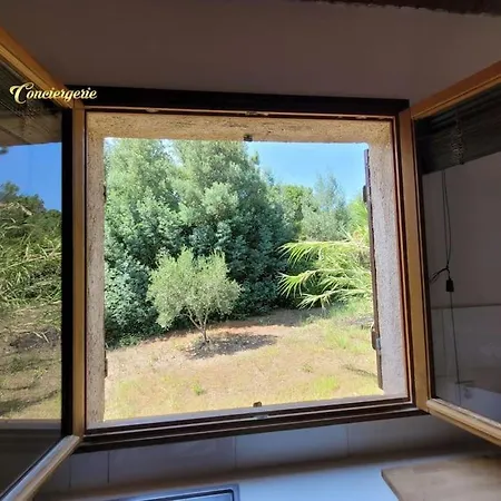 Semesterbostad A Pied Familiale 10 Pers Corse Sud Porto Vecchio *