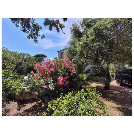 A Pied Familiale 10 Pers Corse Sud Porto Vecchio * Vardiola