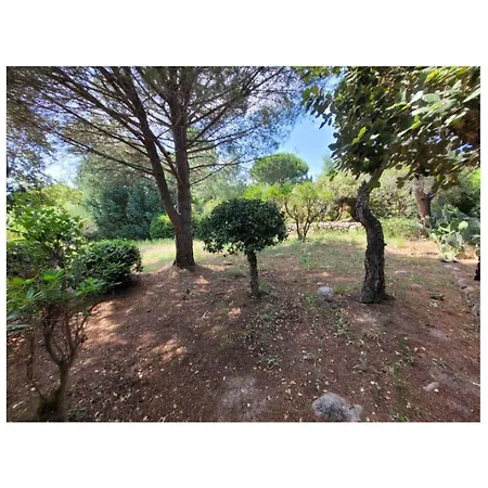 A Pied Familiale 10 Pers Corse Sud Porto Vecchio 度假居