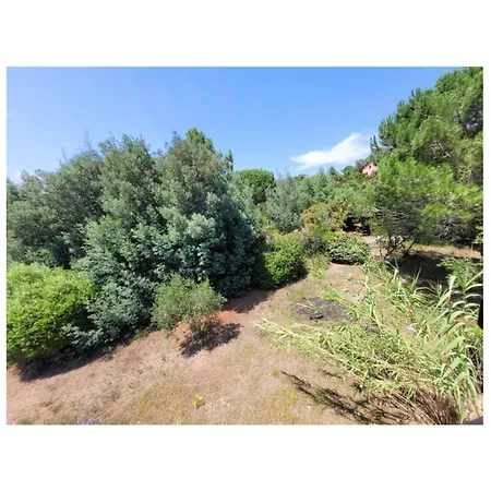 A Pied Familiale 10 Pers Corse Sud Porto Vecchio *