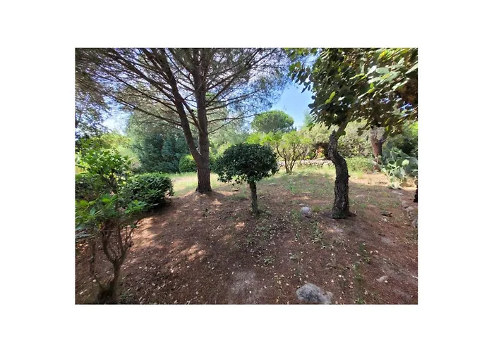 A Pied Familiale 10 Pers Corse Sud Porto Vecchio 度假居