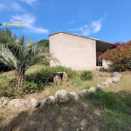 A Pied Familiale 10 Pers Corse Sud Porto Vecchio