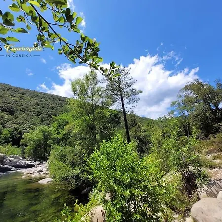 펜션 A Pied Familiale 10 Pers Corse Sud Porto Vecchio