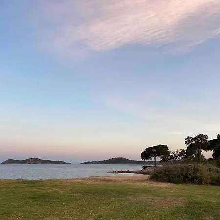 A Pied Familiale 10 Pers Corse Sud Porto Vecchio * Vardiola