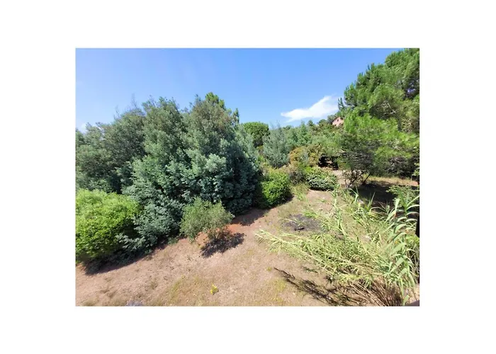 à Pied Familiale 10 Pers Corse Sud Porto Vecchio *
